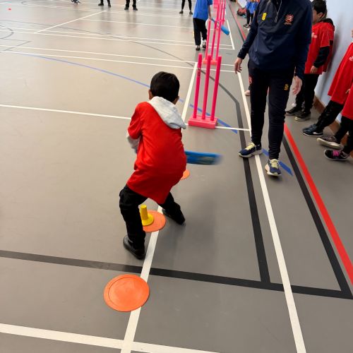 ‘TTLT 3 Tees Cricket Festival’