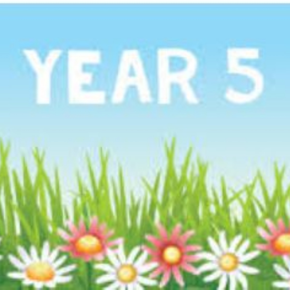 Kensington Primary School - Learning in Year 5